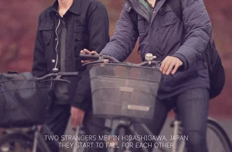 Настоящее совершенное (2017)